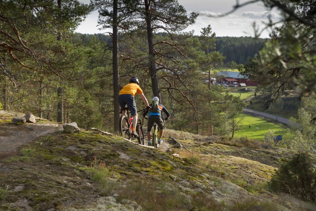 Cykla mountainbike i skogarna på Bergs gård