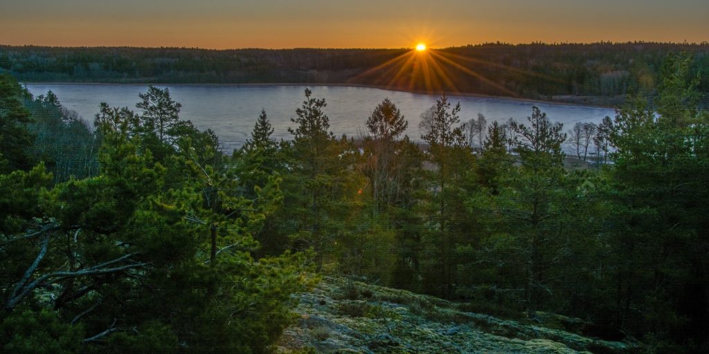 Nynäs naturreservat